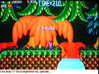 une photo d'Ã©cran de Blue s Journey sur SNK Neo Geo